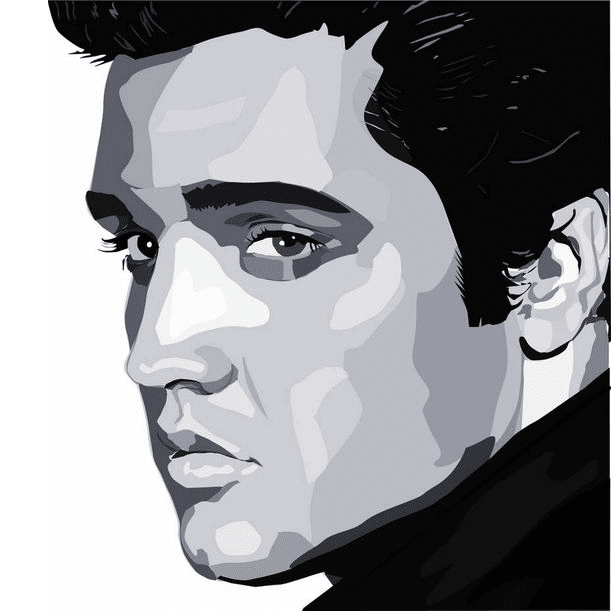 elvis presley (mg 482) gobelin stickbild stickpackung