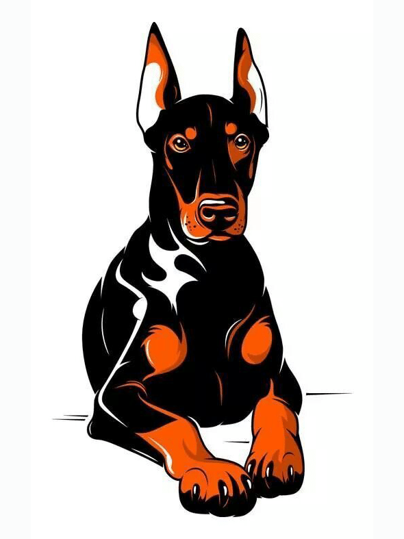 dobermann hund (mg 499) gobelin stickbild stickpackung