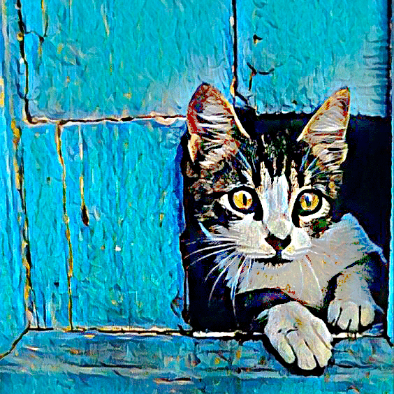 neugierige katze (mg 501) gobelin stickbild stickpackung