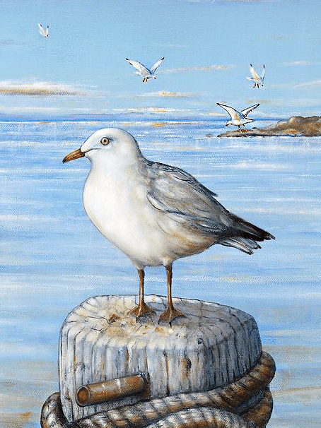 möwe (mg 531) gobelin stickbild stickpackung
