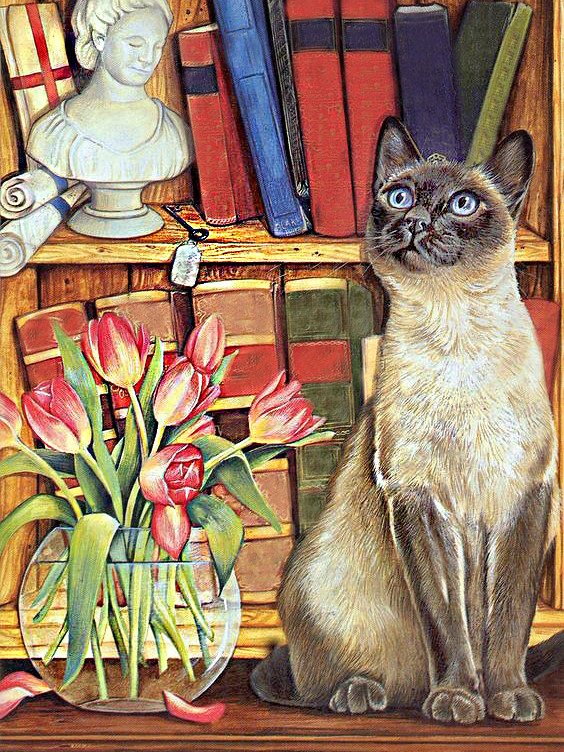 katze in der bibliothek (mg 578) gobelin stickbild stickpackung