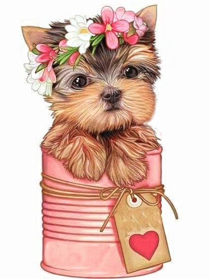 yorkshire terrier (mg 622) gobelin stickbild stickpackung