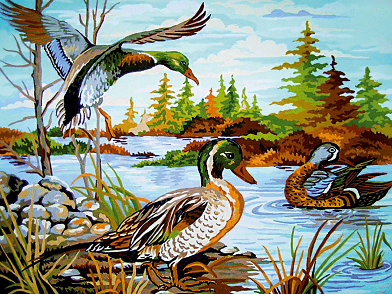 wilde enten (mg 630) gobelin stickbild stickpackung