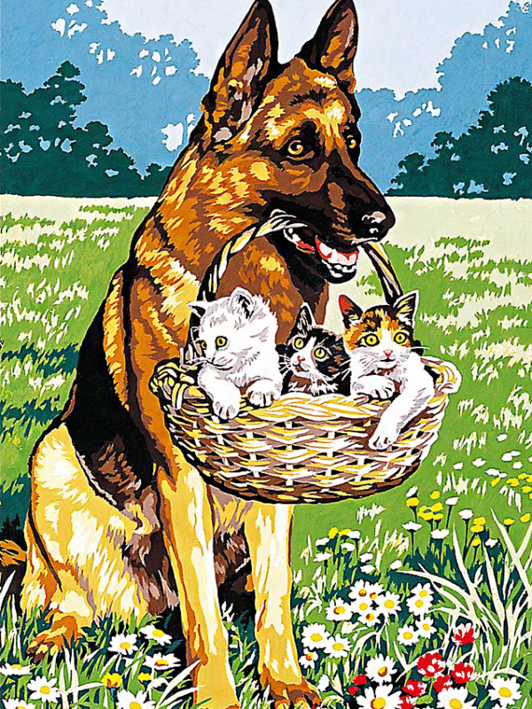 hund mit kätzchen (mg 638) gobelin stickbild stickpackung