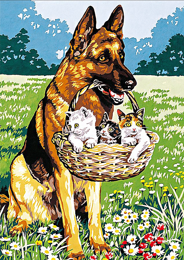 hund mit kätzchen (mg 638) gobelin stickbild stickpackung