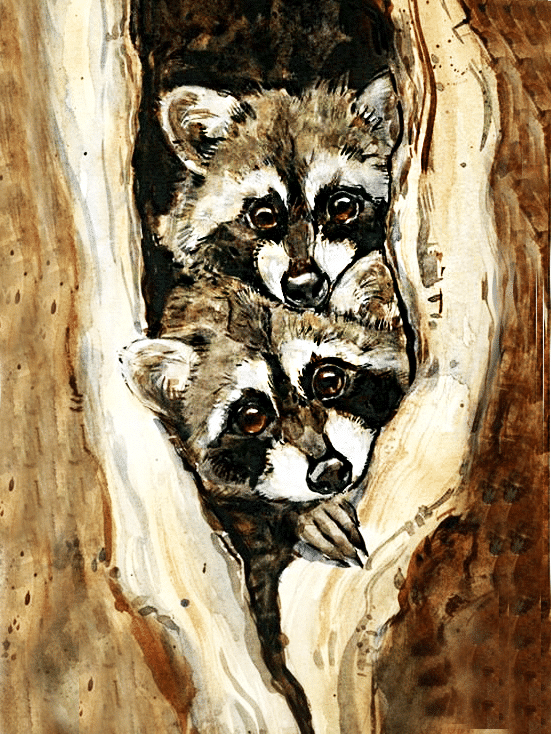 waschbär (mg 672) gobelin stickbild stickpackung