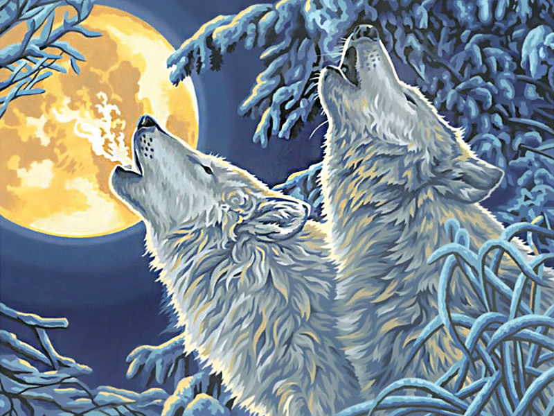 wölfe bei vollmond (mg 725) gobelin stickbild stickpackung