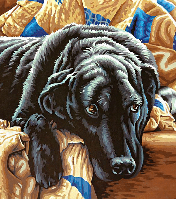 der labrador ruht sich aus (mg 727) gobelin stickbild stickpackung