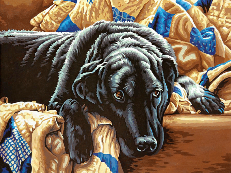 der labrador ruht sich aus (mg 727) gobelin stickbild stickpackung