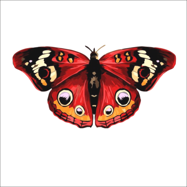 roter schmetterling (mg 762) gobelin stickbild stickpackung