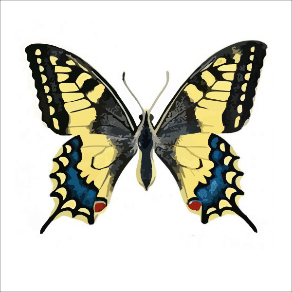 gelber schmetterling (mg 760) gobelin stickbild stickpackung