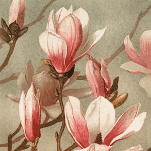 magnolie (mg 772) gobelin stickbild stickpackung
