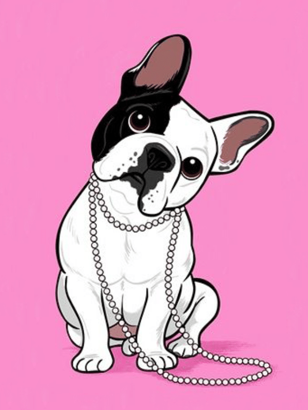 französische bulldogge (mg 800) gobelin stickbild stickpackung