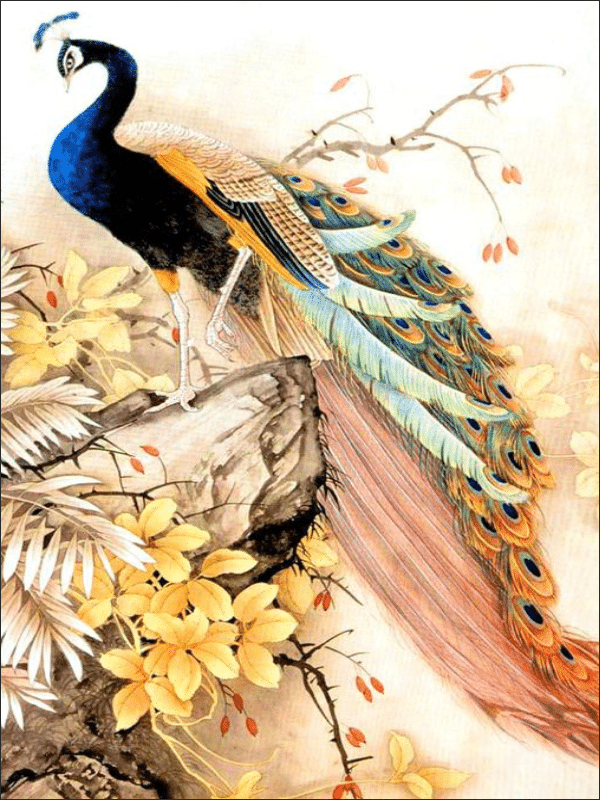 japanischer pfau (mg 812) gobelin stickbild stickpackung