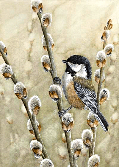kleiner vogel auf dem ast (mg 819) gobelin stickbild stickpackung