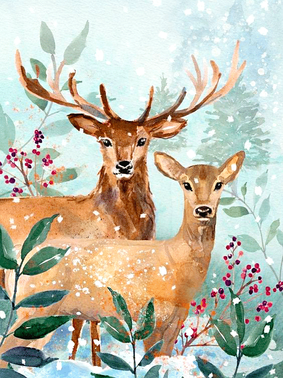 hirsch im schnee (mg 828) gobelin stickbild stickpackung