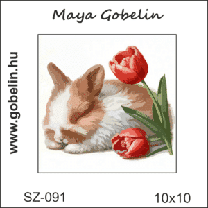import placeholder for 41065