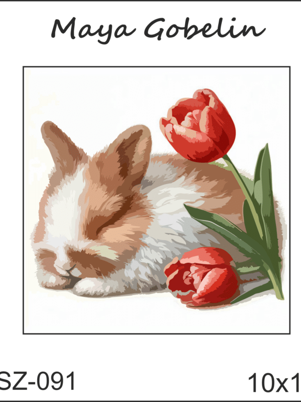import placeholder for 41065