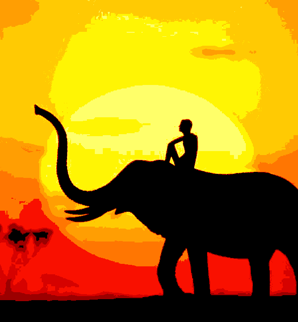 elefant bei sonnenuntergang (ta 002) gobelin stickbild stickpackung