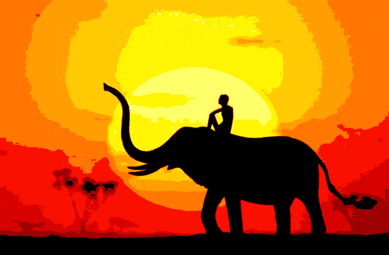 elefant bei sonnenuntergang (ta 002) gobelin stickbild stickpackung