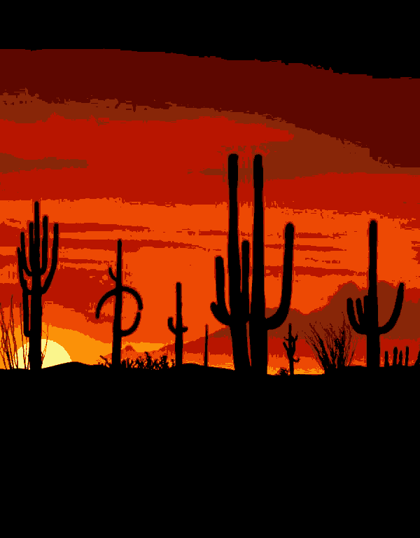 sonnenuntergang in mexiko (ta 005) gobelin stickbild stickpackung