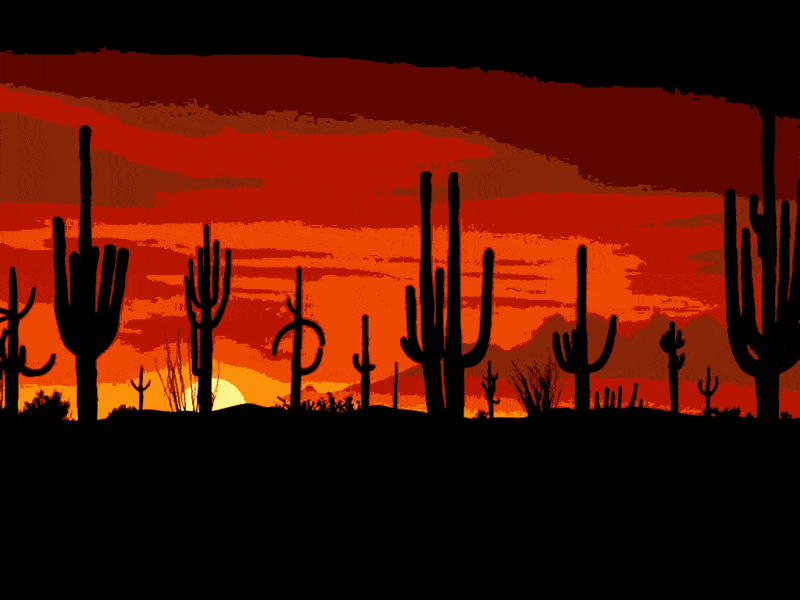 sonnenuntergang in mexiko (ta 005) gobelin stickbild stickpackung