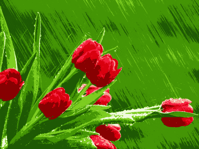 ein strauß tulpen (vi 004) gobelin stickbild stickpackung