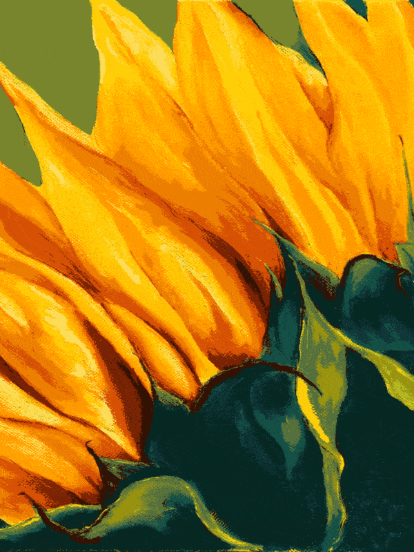 sonnenblumenblütenblätter (vi 008) gobelin stickbild stickpackung
