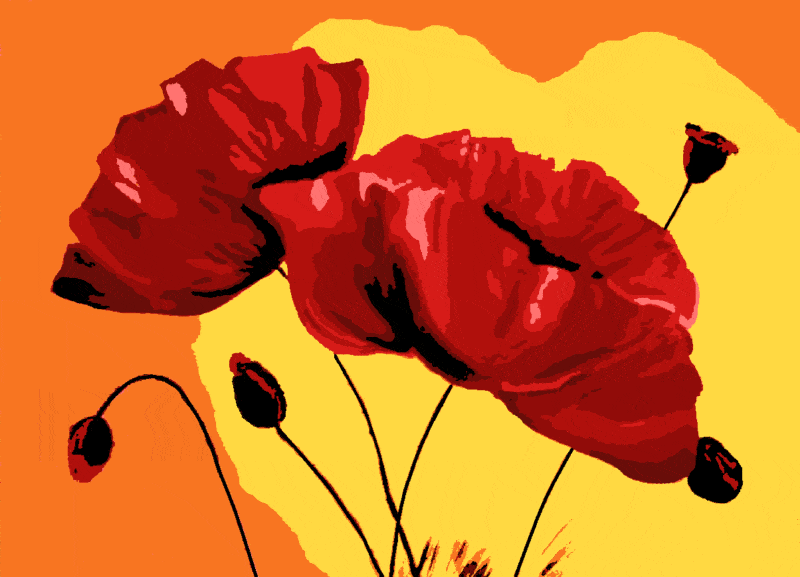 mohnblumen (vi 010) gobelin stickbild stickpackung