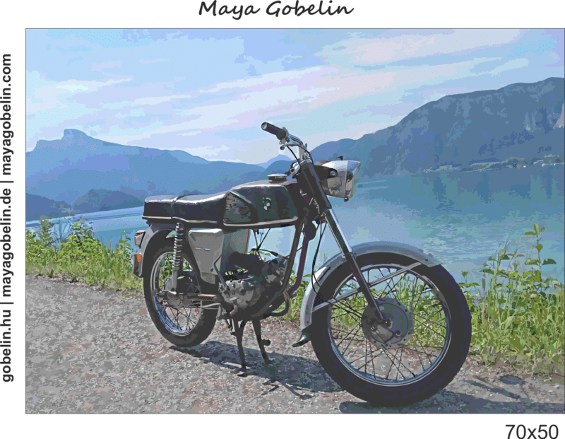 individuelle gobelin bestellung, 70×50 cm, 44 stiche / 10 cm, mit garn und nadel