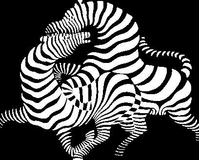 zebras (fe 101)