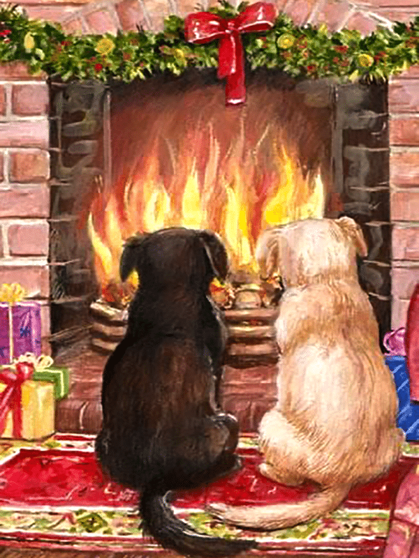 hundefreundschaft (mg 388)
