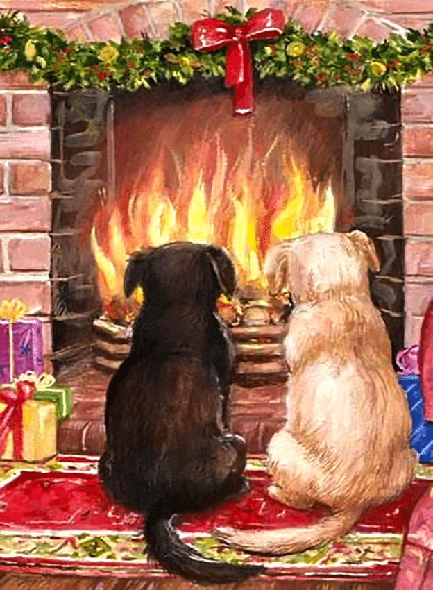 hundefreundschaft (mg 388)